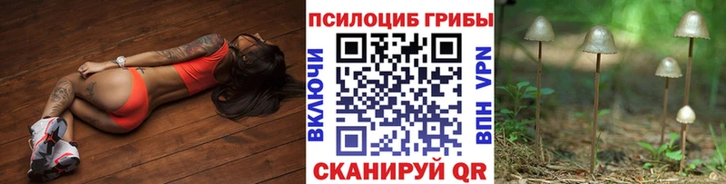 цены   Магнитогорск  МЕГА ССЫЛКА  Галлюциногенные грибы Cubensis 