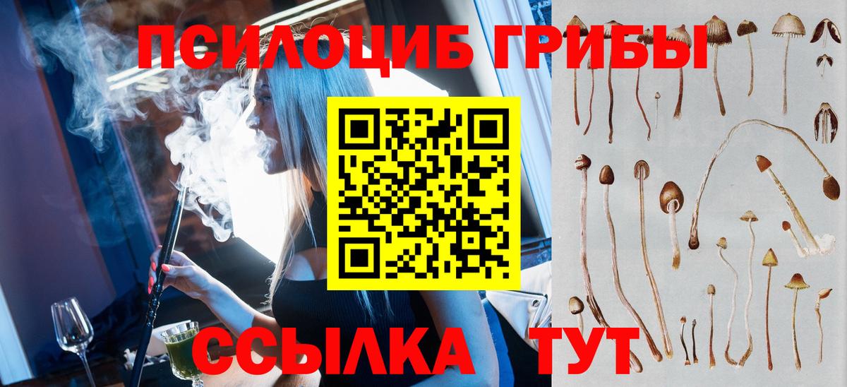 Галлюциногенные грибы MAGIC MUSHROOMS  Вход с VPN  Магнитогорск 