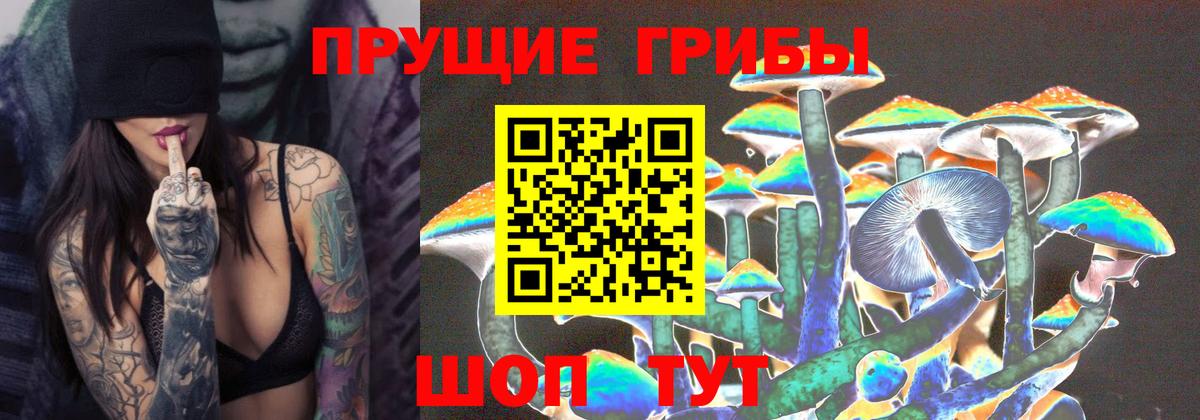 Псилоцибиновые грибы Psilocybe Магнитогорск